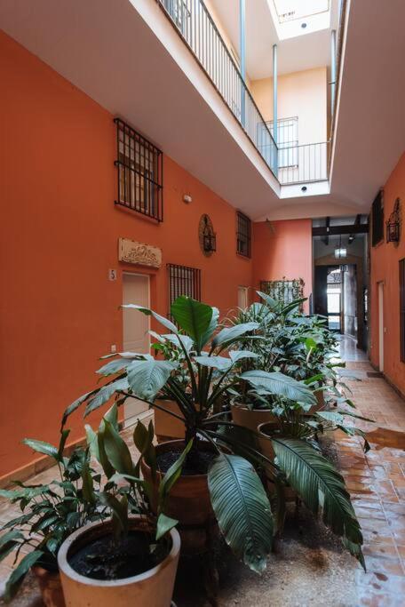 Selecta Elegante Y Centrico Apartamento Sevilla Exterior foto